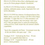prana flow svensk text