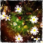 My HipstaPrint 0