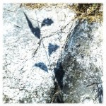 20110712-092447.jpg