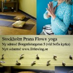 Stockholm Prana Flow 2012