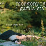 morgonyoga