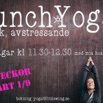lunchyoga2015